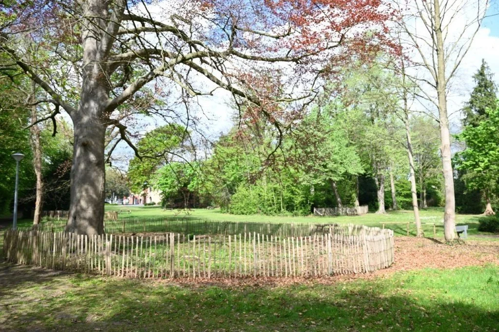 20250421_Oostkamp (klein) (15).jpg