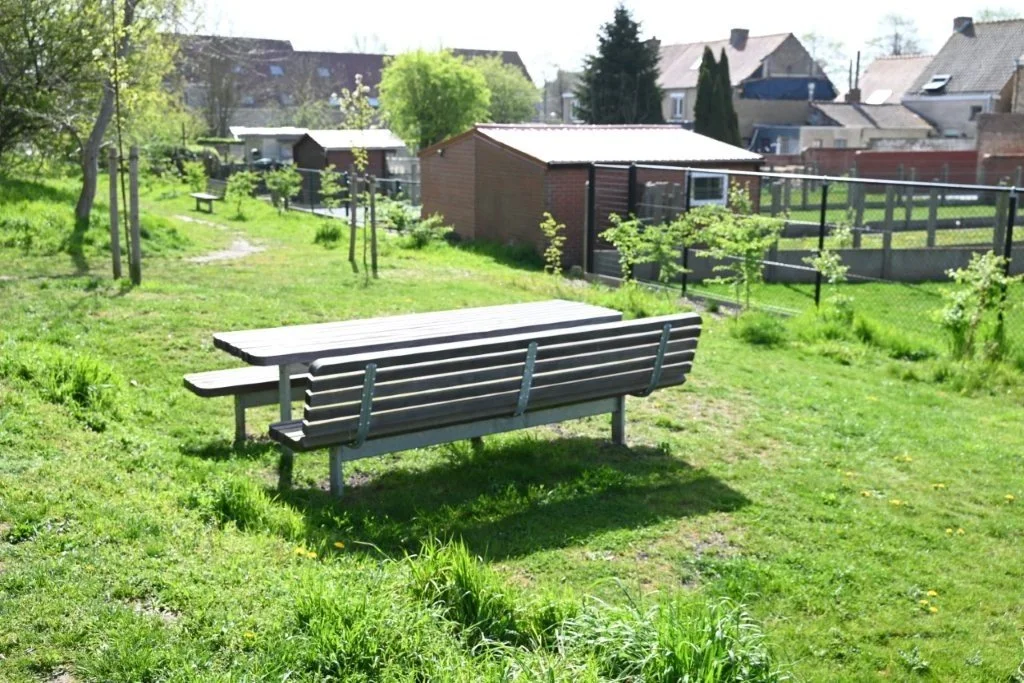 20260409_Jachthaventocht (gr) (24).jpg