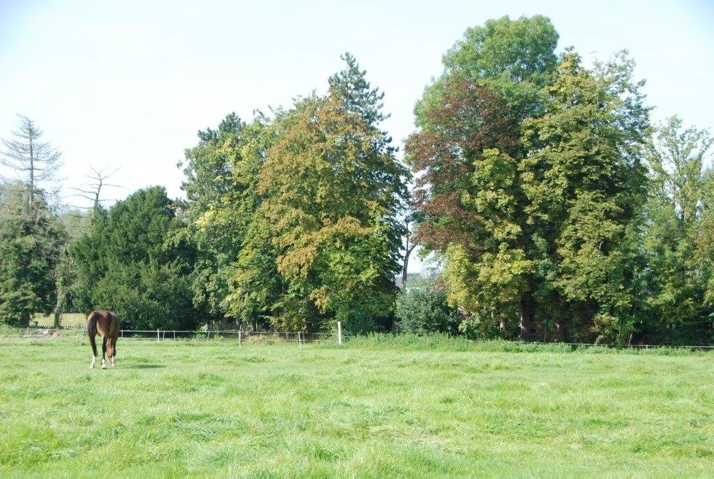 20230910_Humbeek (klein) (40).jpg