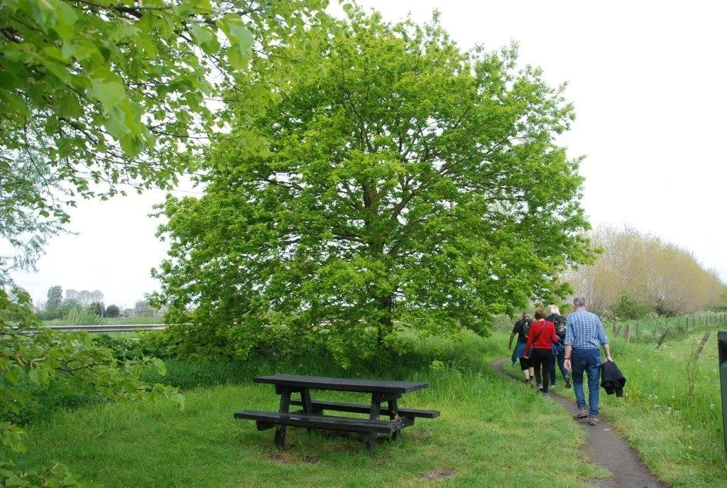 20230506_Butterblommetocht Alverimgem_ (klein) (43).jpg