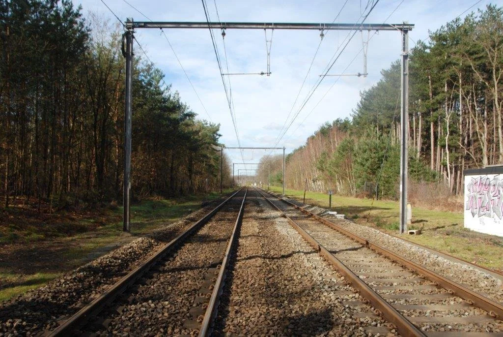 20230311_Hasselt Bokrijk (klein) (22).jpg