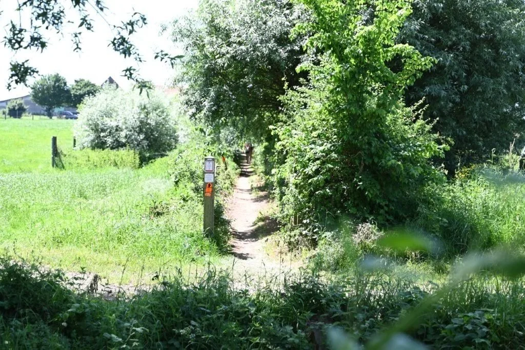 20260525_Wijngaardtocht van Heuvellandstappers (gr) (44).jpg