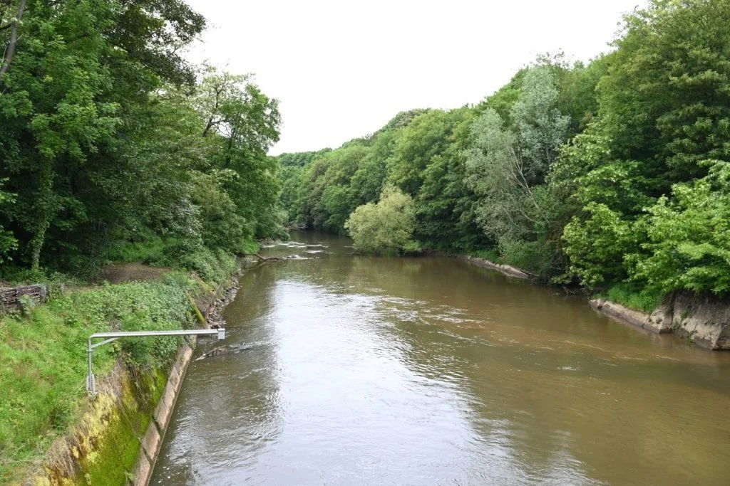 20260517_Mariëndaaltocht (gr) (21).jpg