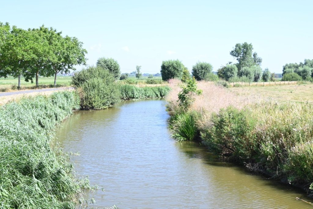 20260711_Diksmuidse Wandelhappening (31).jpg
