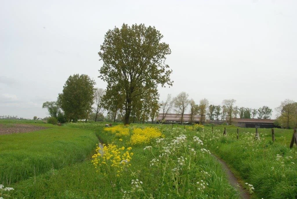 20230506_Butterblommetocht Alverimgem_ (klein) (51).jpg