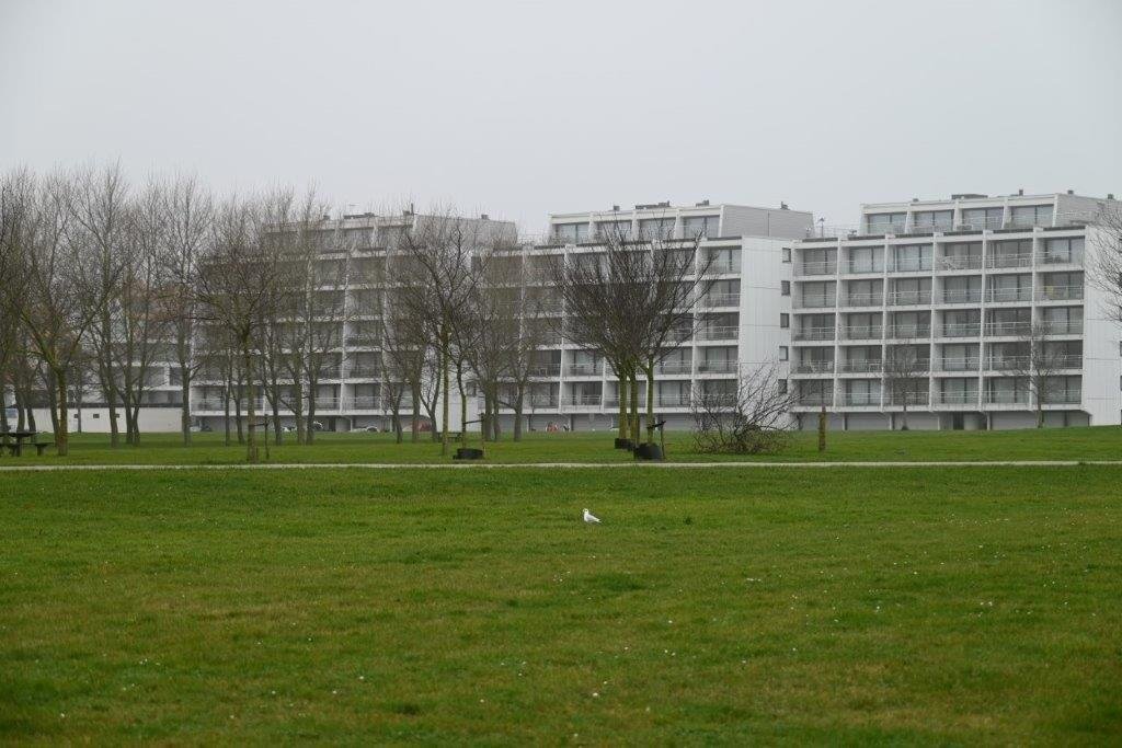 20241224_ Geeraerttocht (klein) (31).jpg