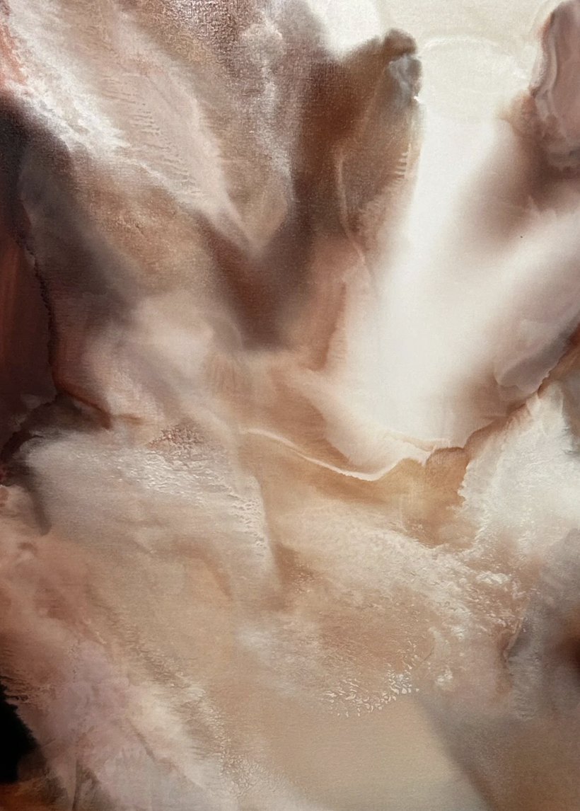 Screenshot 2026-02-17 at 12.55.32 pm.png