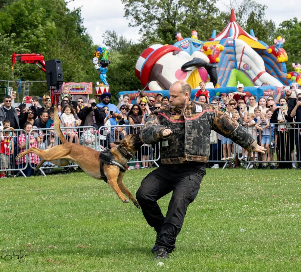 20260628_Walsall_AFD-58.jpg