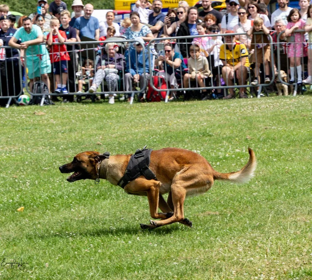 20260628_Walsall_AFD-75.jpg