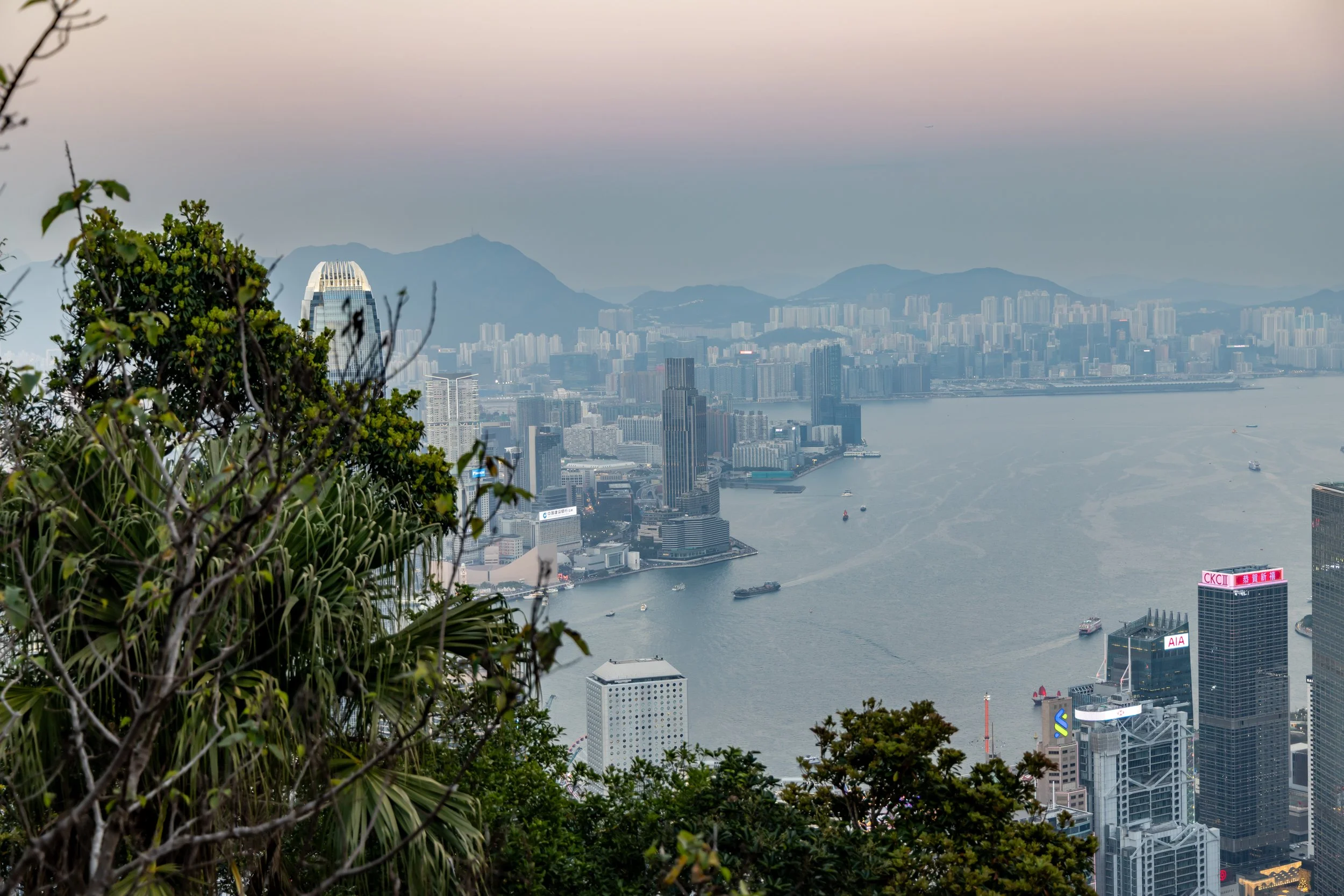 A cityscape view of Hong Kong from a hill with green foliage in the foreground, featuring skyscrapers, Victoria Harbour, and mountains in the background.