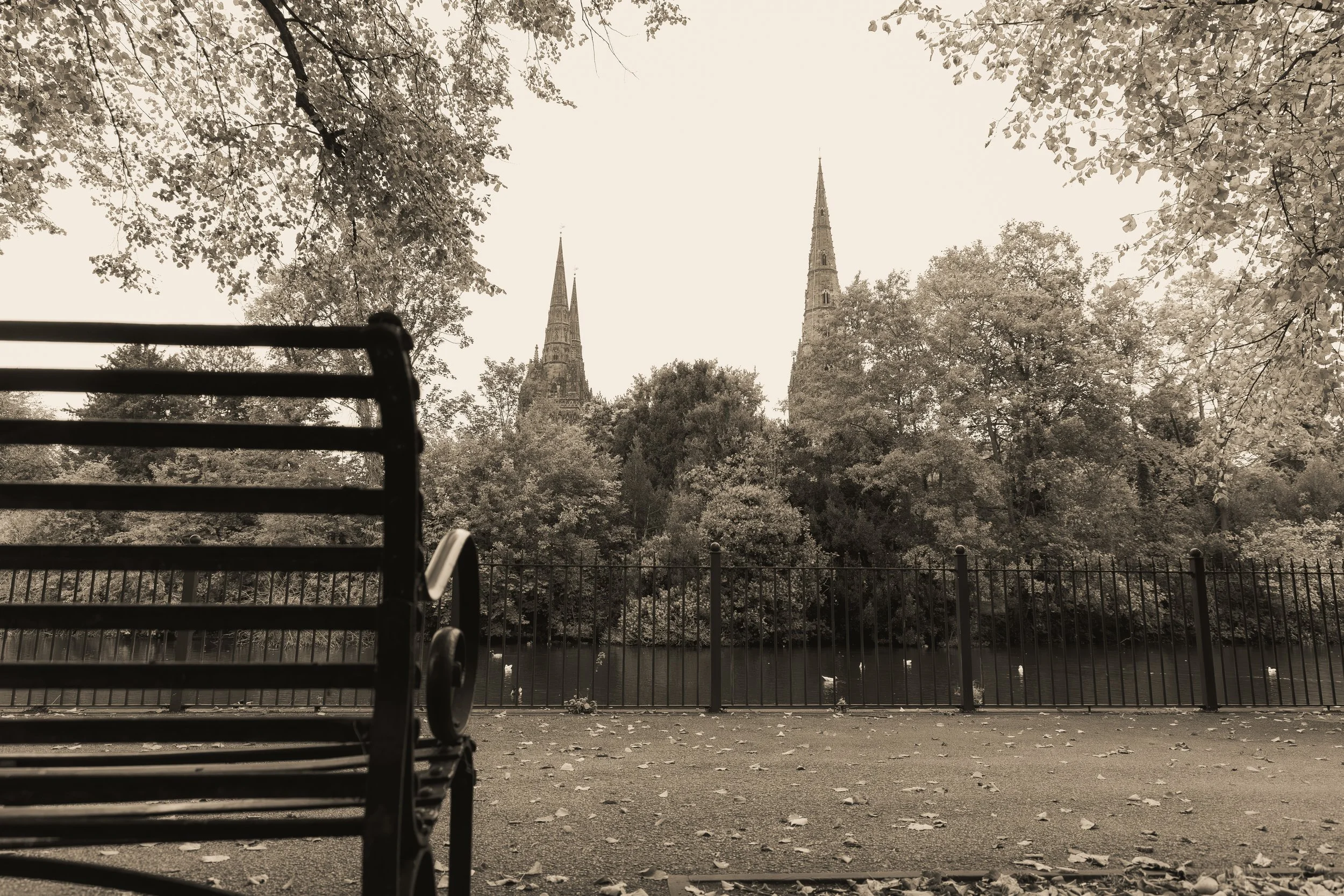 A park bench in the foreground with fallen leaves on the ground, a black metal fence, trees with fall foliage, and two church steeples in the background.