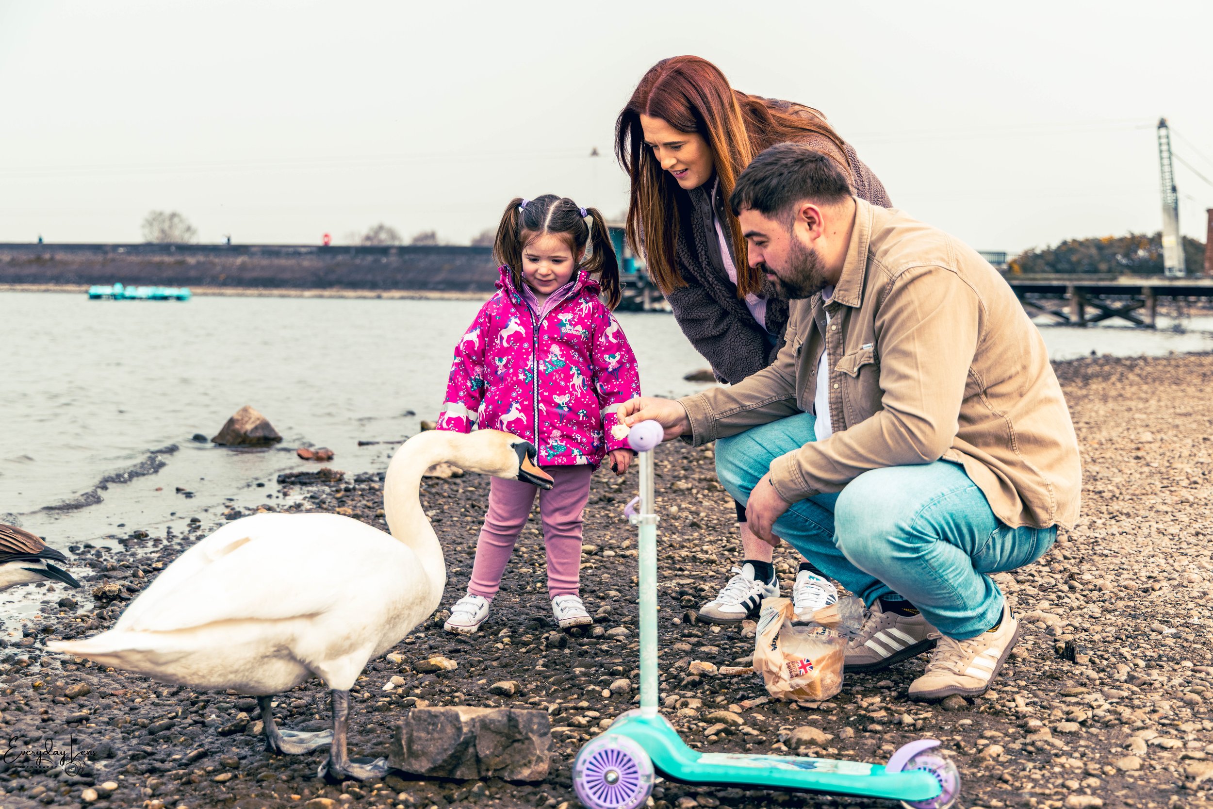 A family of three, two adults and a young girl, are at the lakeshore feeding a swan. The girl is dressed in a bright pink jacket with a unicorn pattern, and the adults are crouching near her, holding a toy. The scene takes place on a rocky beach with