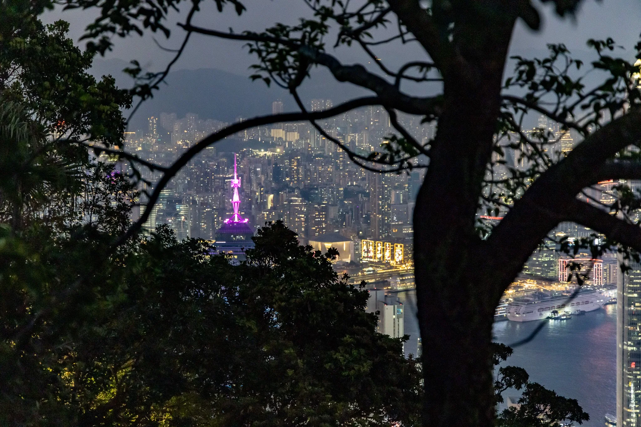 Nighttime cityscape of Hong Kong seen through tree branches, with illuminated buildings and a brightly lit tower in purple and pink