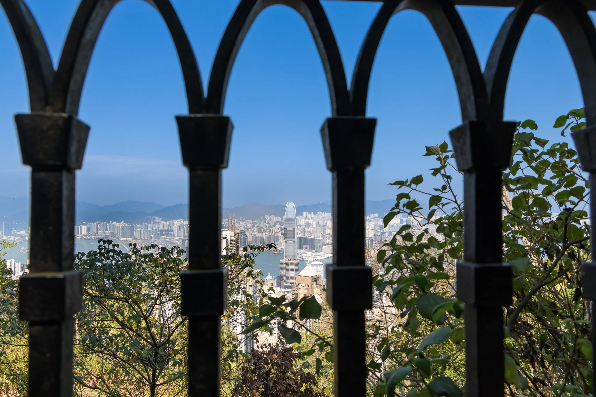 Cityscape view of Hong Kong skyline through black iron fence with green foliage, mountains in the background, and clear blue sky
