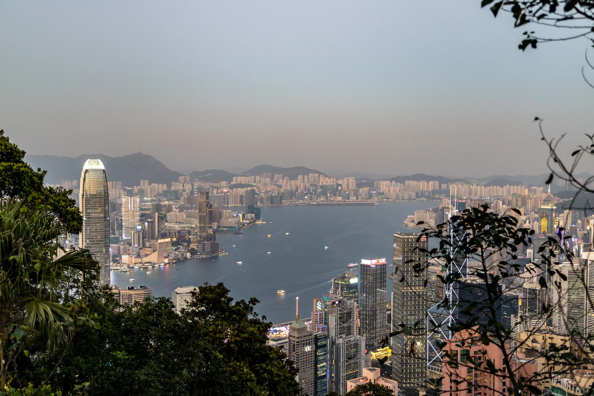 A city skyline view of Hong Kong with tall skyscrapers, harbour, and surrounding mountains, seen through some tree branches.