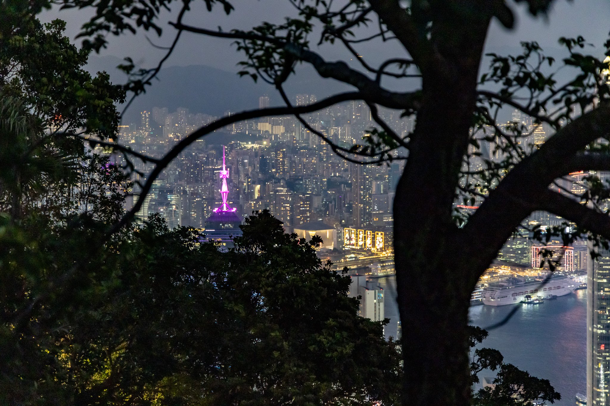 Nighttime cityscape of Hong Kong viewed through trees, with illuminated skyline and Victoria Peak Tower in purple lighting.