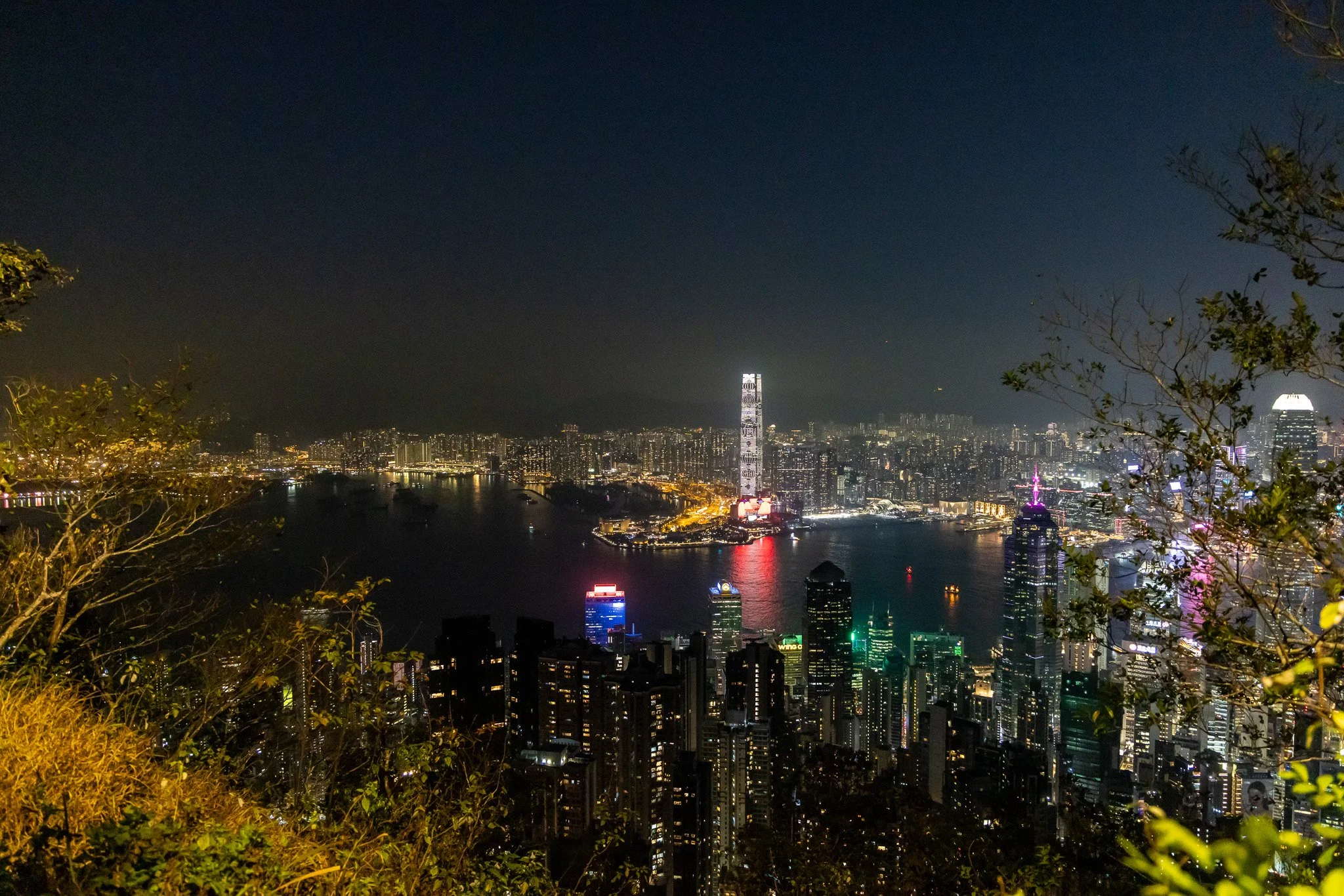 Nighttime cityscape of Hong Kong with illuminated skyscrapers and Victoria Harbour, taken from a hill with trees in the foreground.
