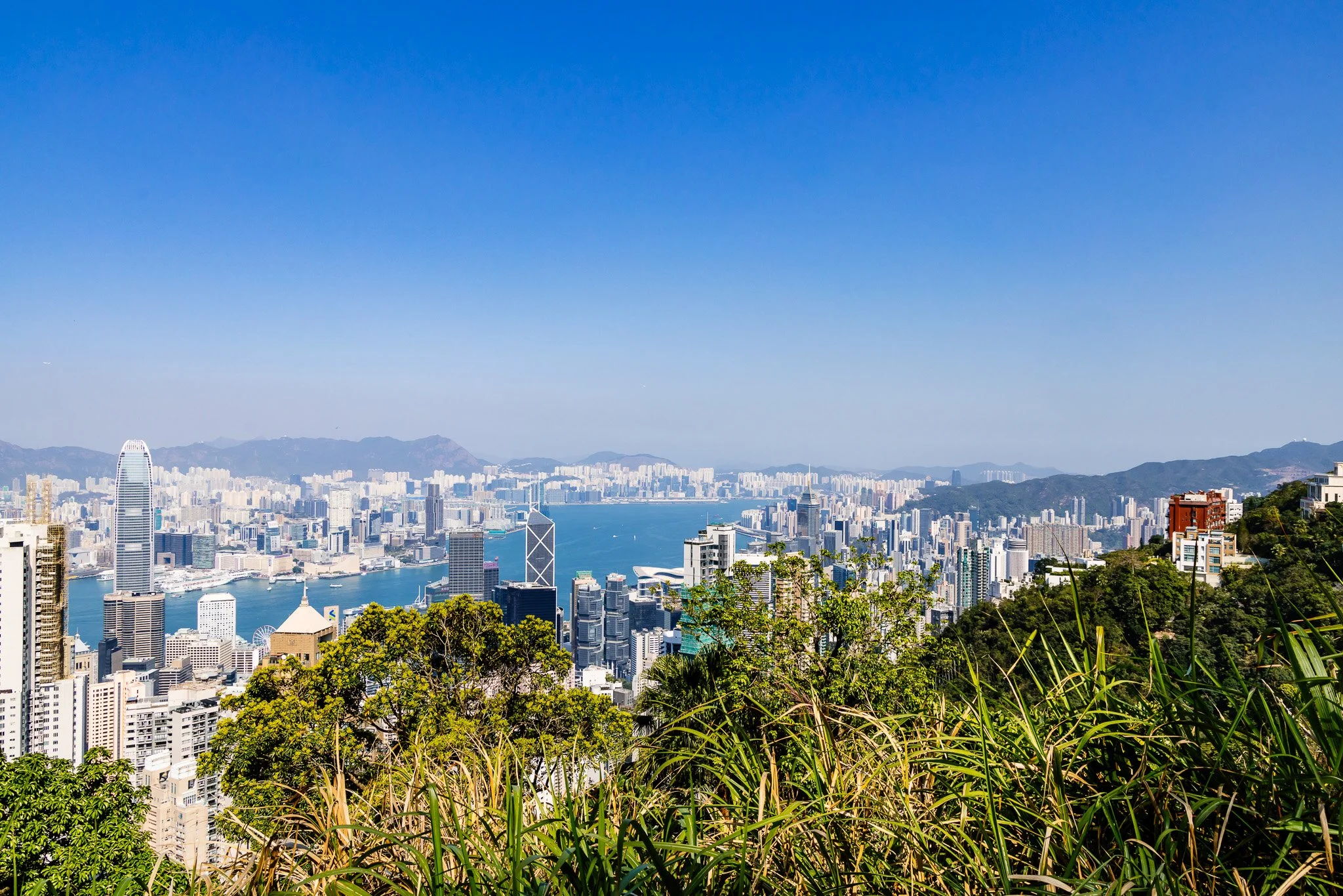 A panoramic view of Hong Kong city skyline with tall buildings, a body of water, and green hills in the foreground on a clear, sunny day.