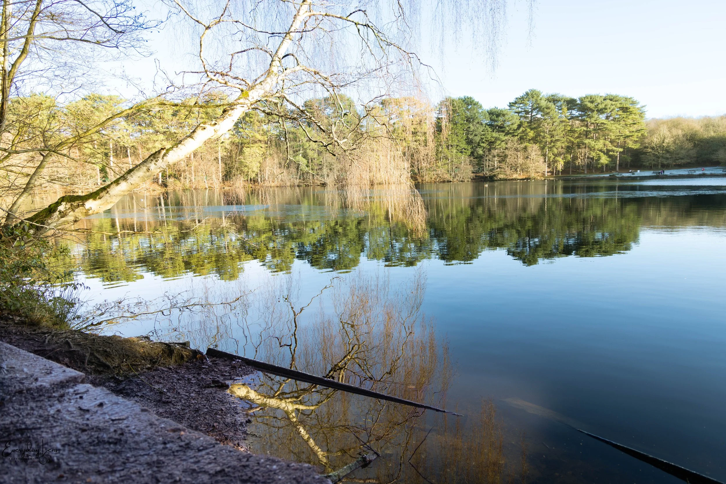 A peaceful lake scene with trees reflecting on the water, with some trees having no leaves and others with greenery, and a fishing rod resting on the bank in the foreground.
