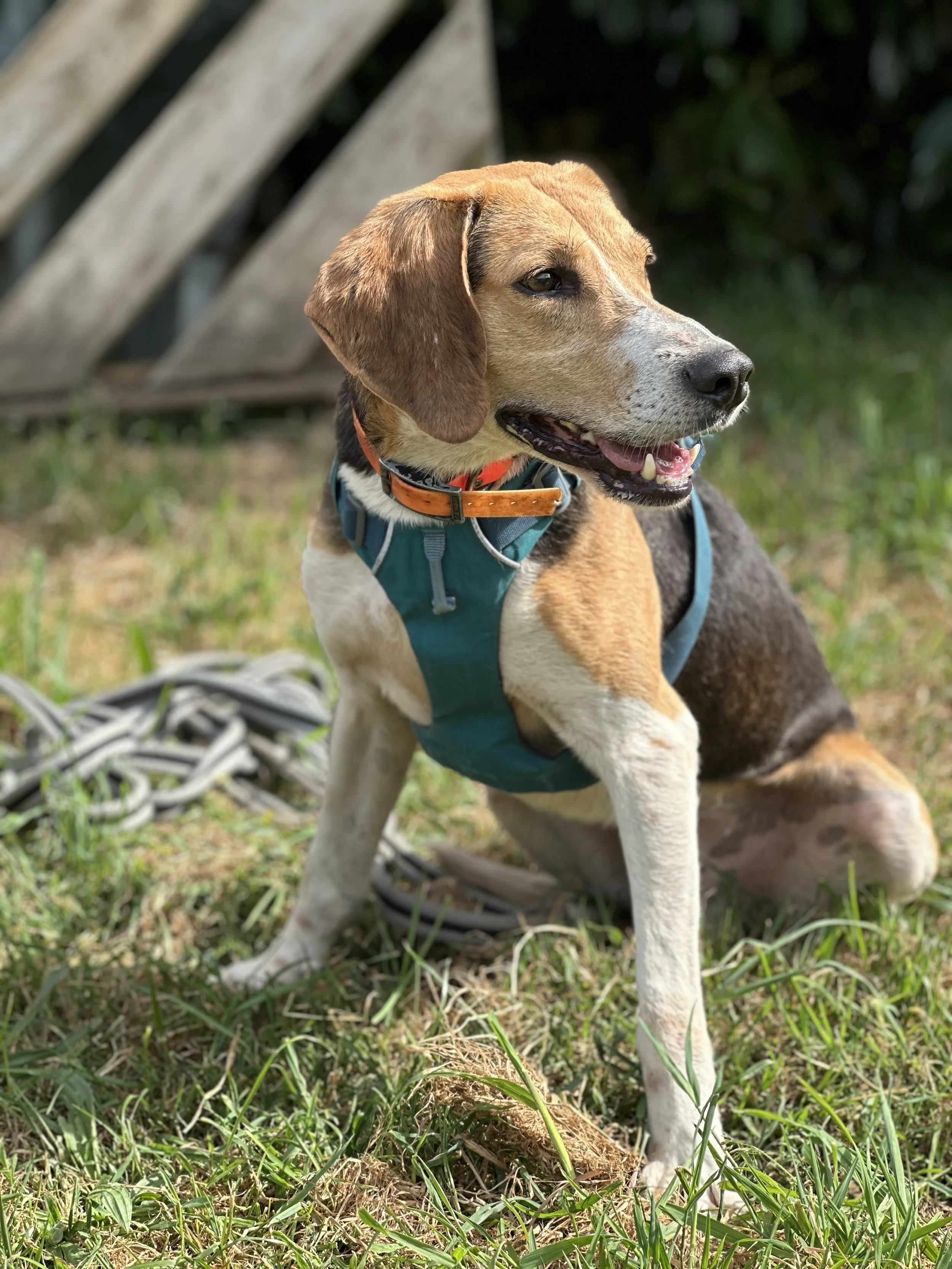 Coco