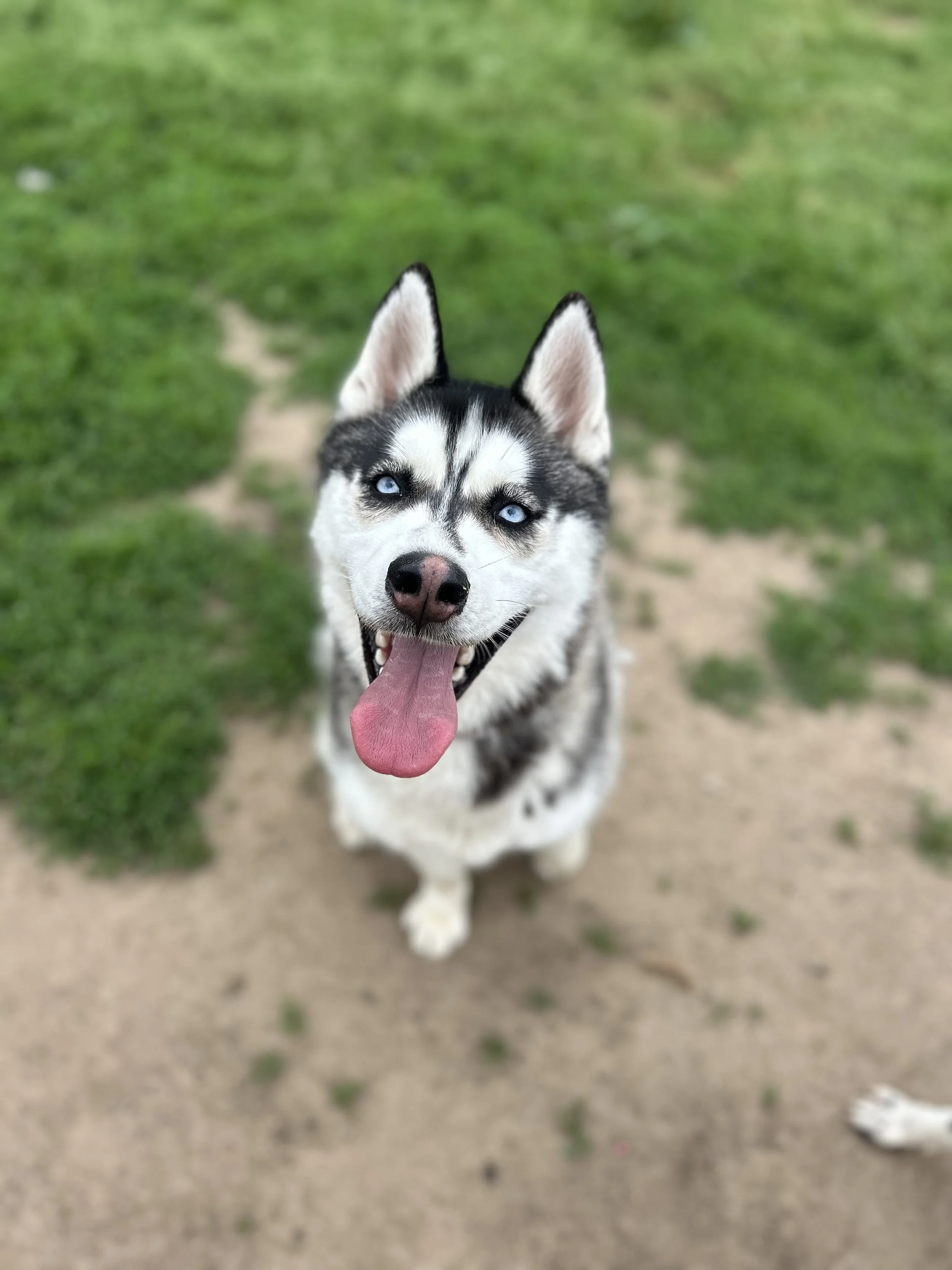 Marley 