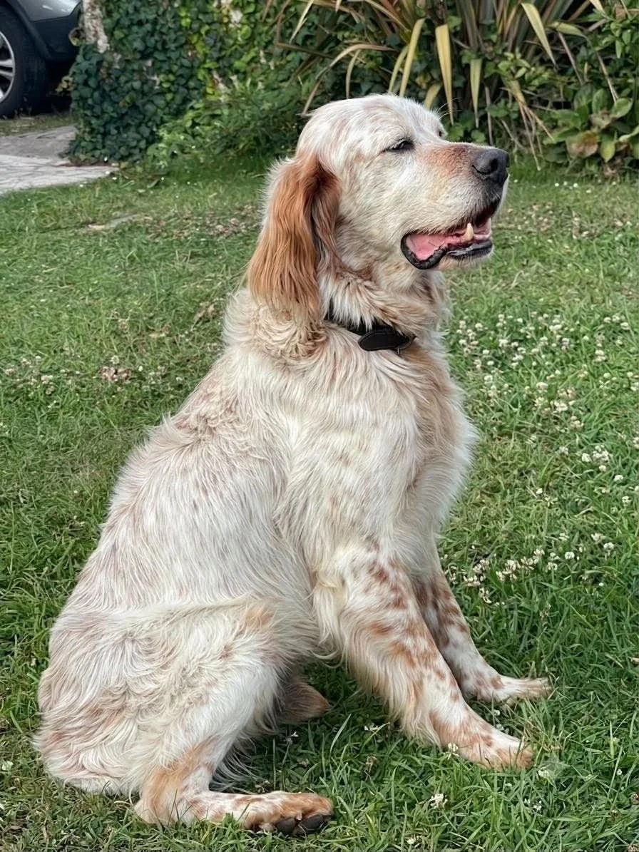 Max