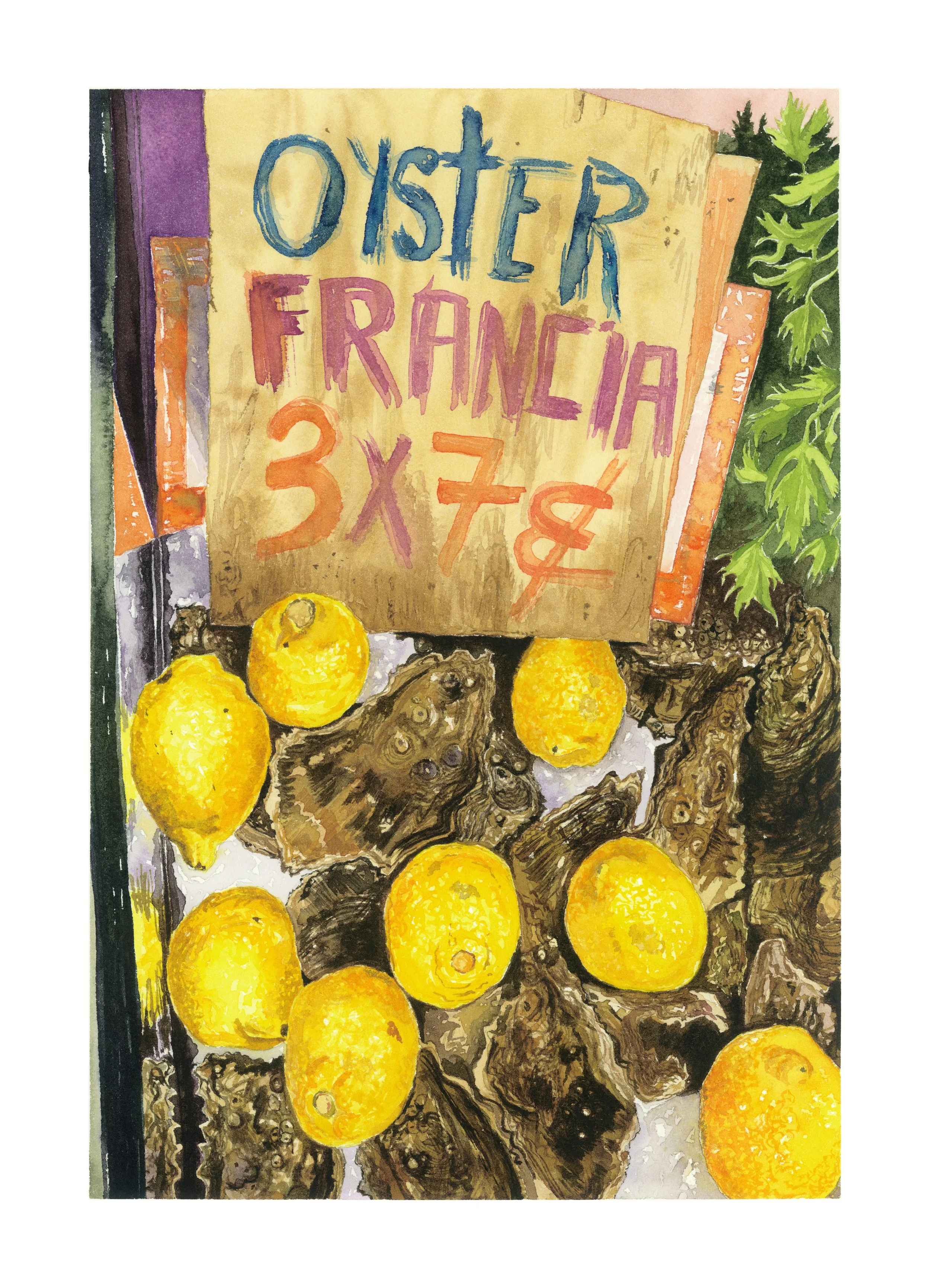 𝘖𝘺𝘴𝘵𝘦𝘳 𝘍𝘳𝘢𝘯𝘤𝘪𝘢, 2025, watercolour on 300 gsm cold pressed paper, 36 x 26 cm.