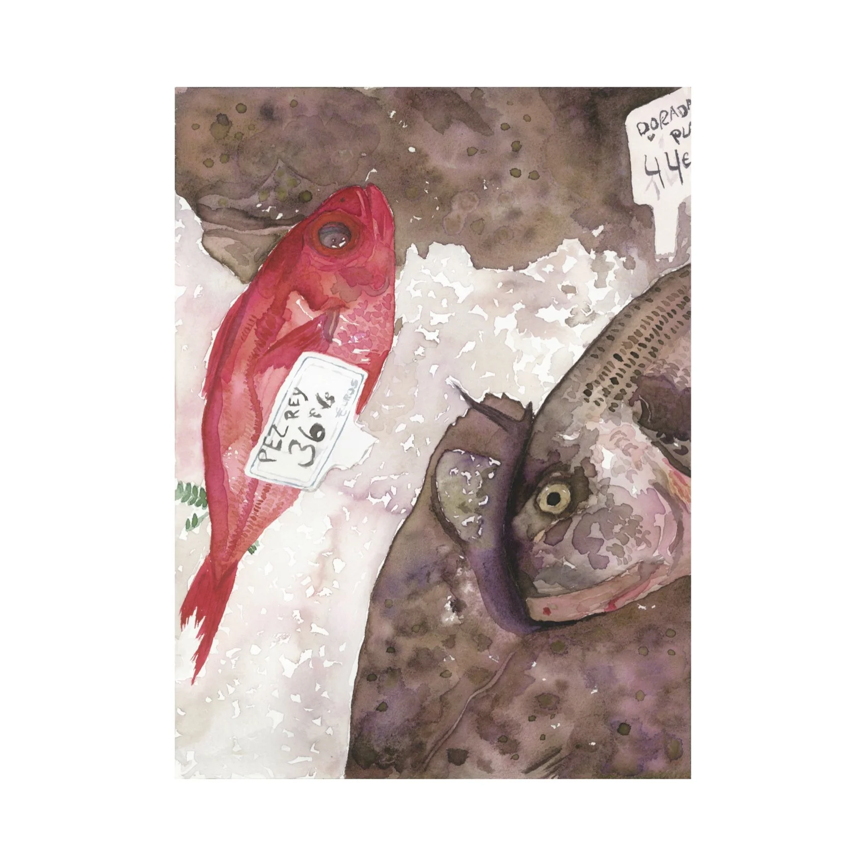 𝘗𝘦𝘻 𝘙𝘦𝘺