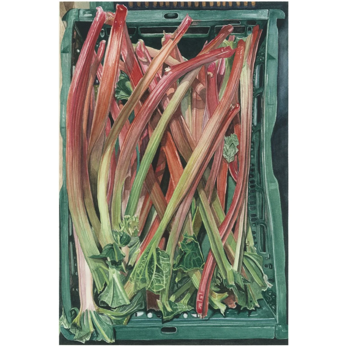 Petioles