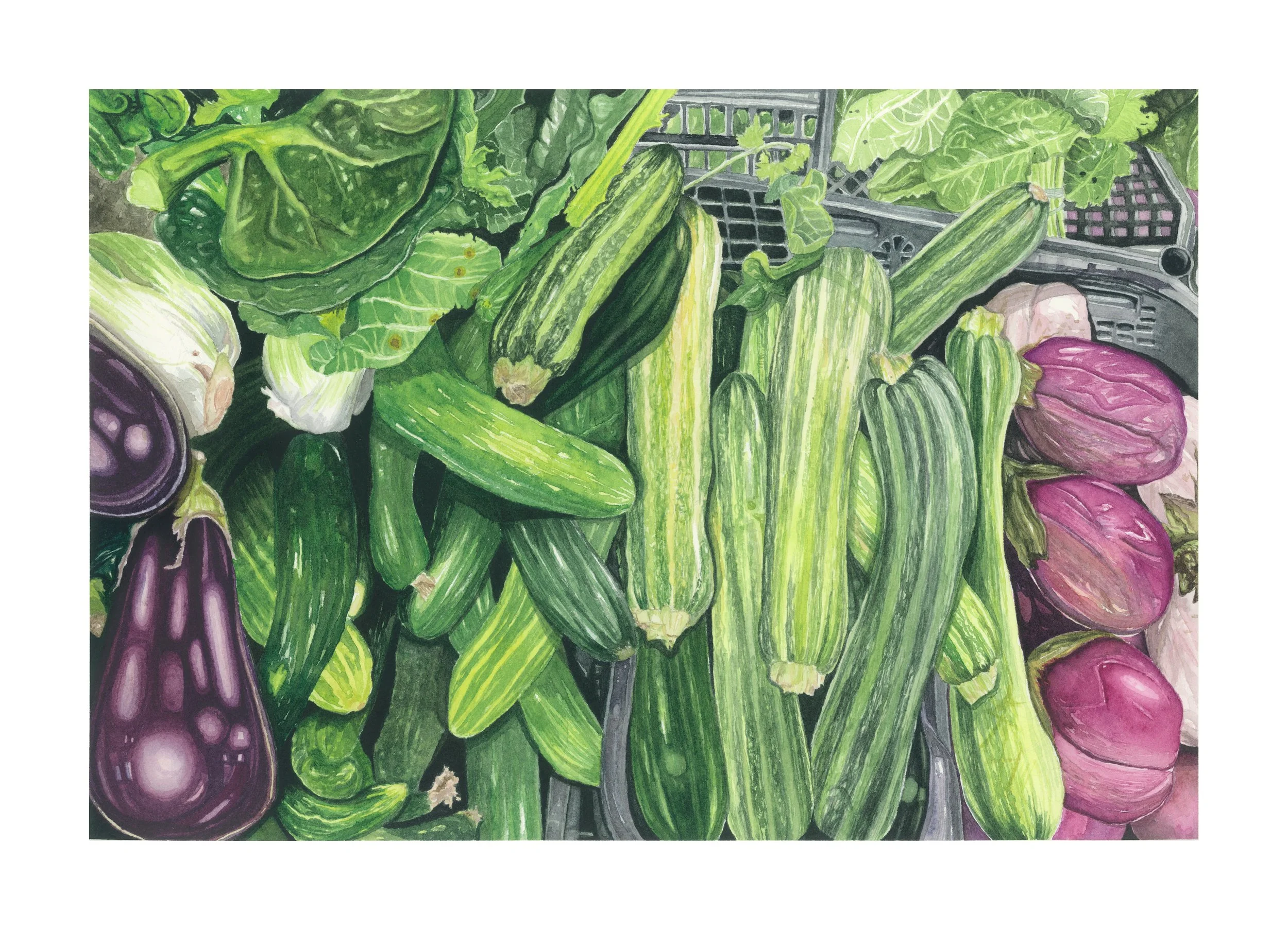 𝘎𝘳𝘦𝘦𝘯 & 𝘈𝘶𝘣𝘦𝘳𝘨𝘪𝘯𝘦, 2026, watercolour on 300 gsm cold pressed paper, 26 x 36 cm.