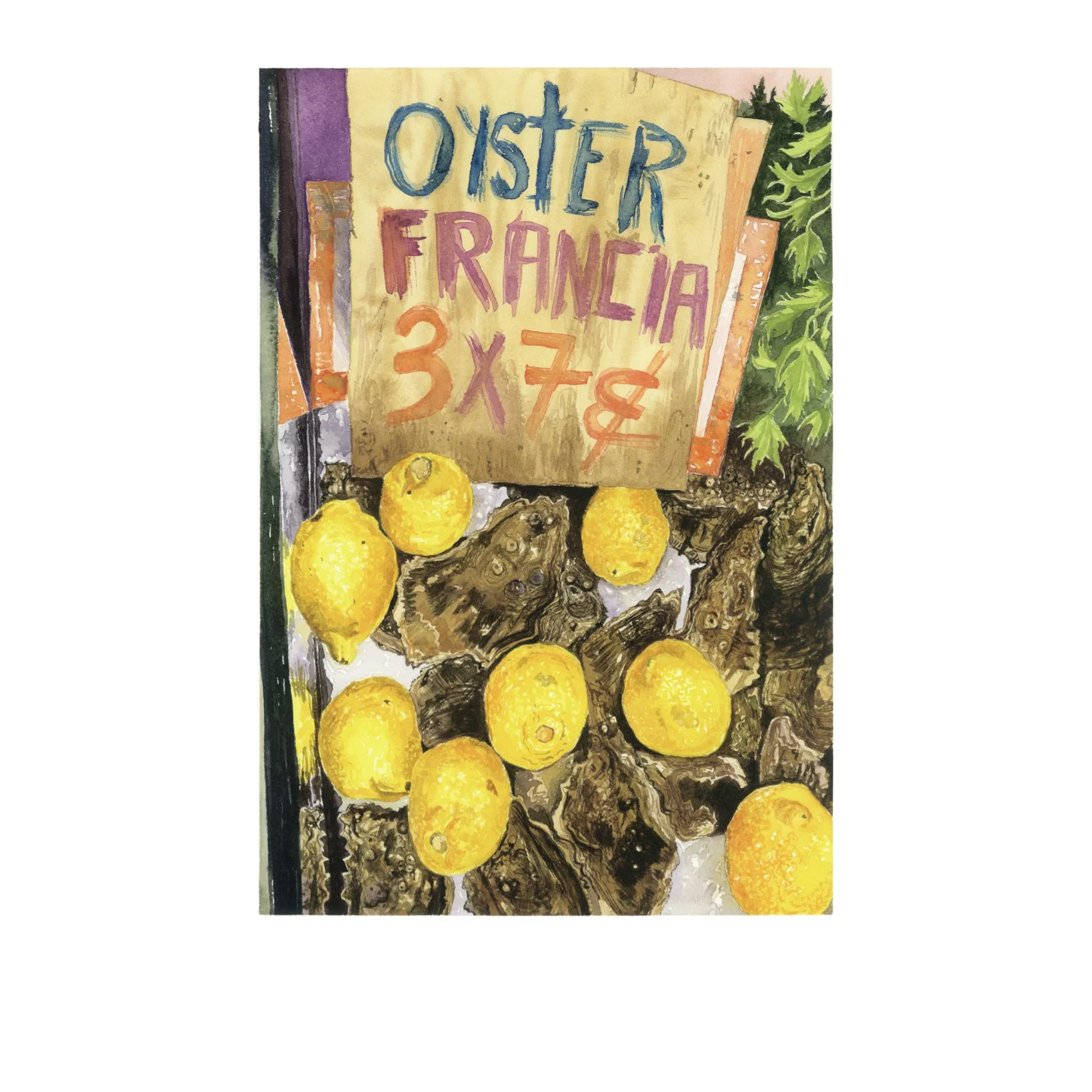 𝘖𝘺𝘴𝘵𝘦𝘳 𝘍𝘳𝘢𝘯𝘤𝘪𝘢