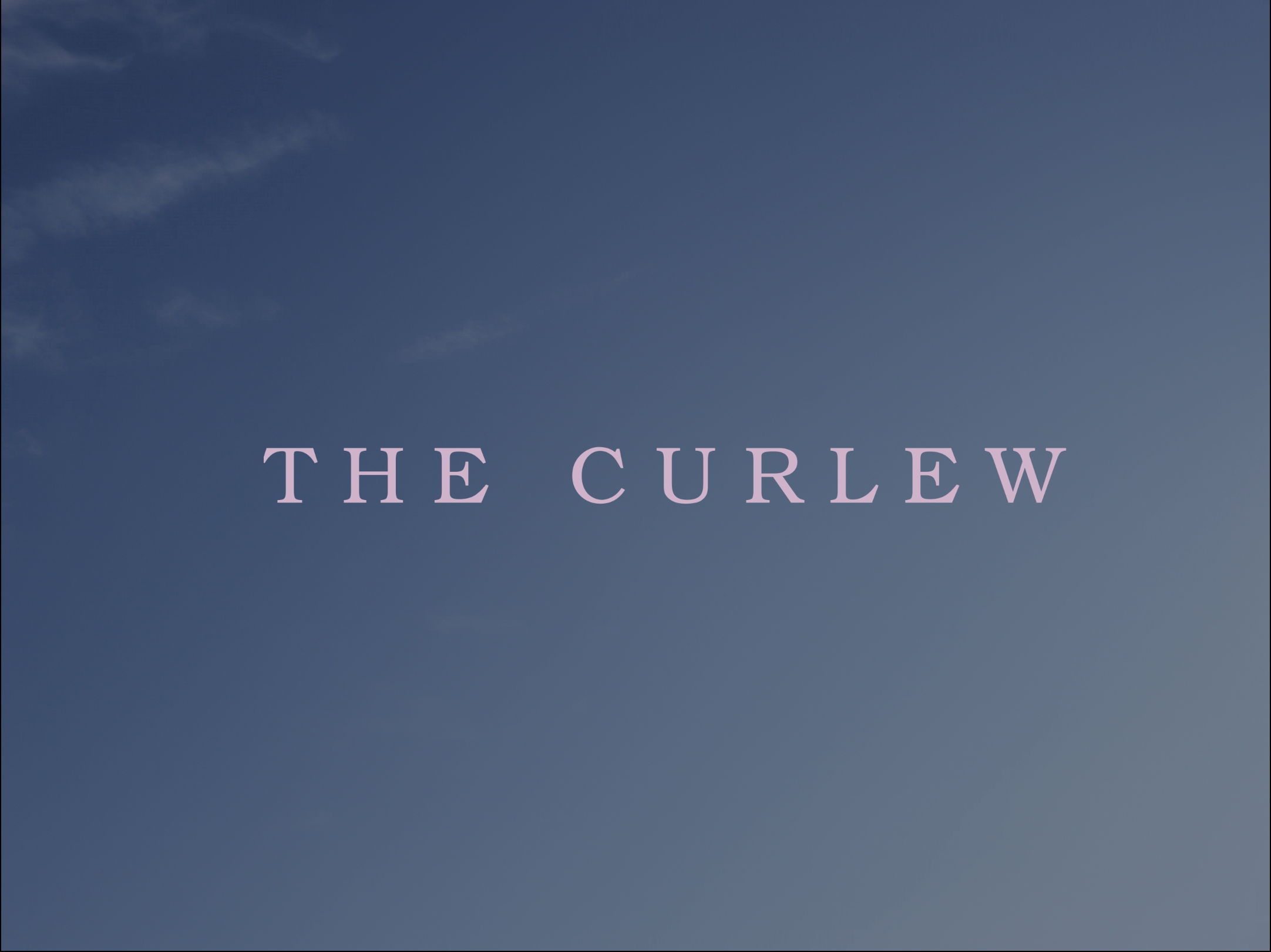 New DoP work on drama short 'The Curlew', unreleased