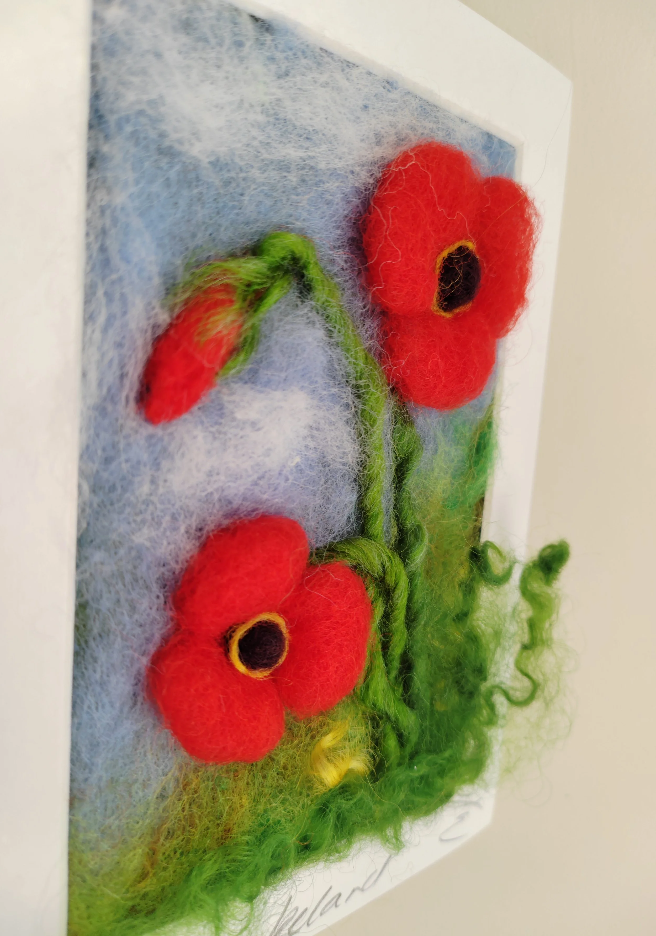 IMG_Profile  small red poppies in meadow (1).jpg