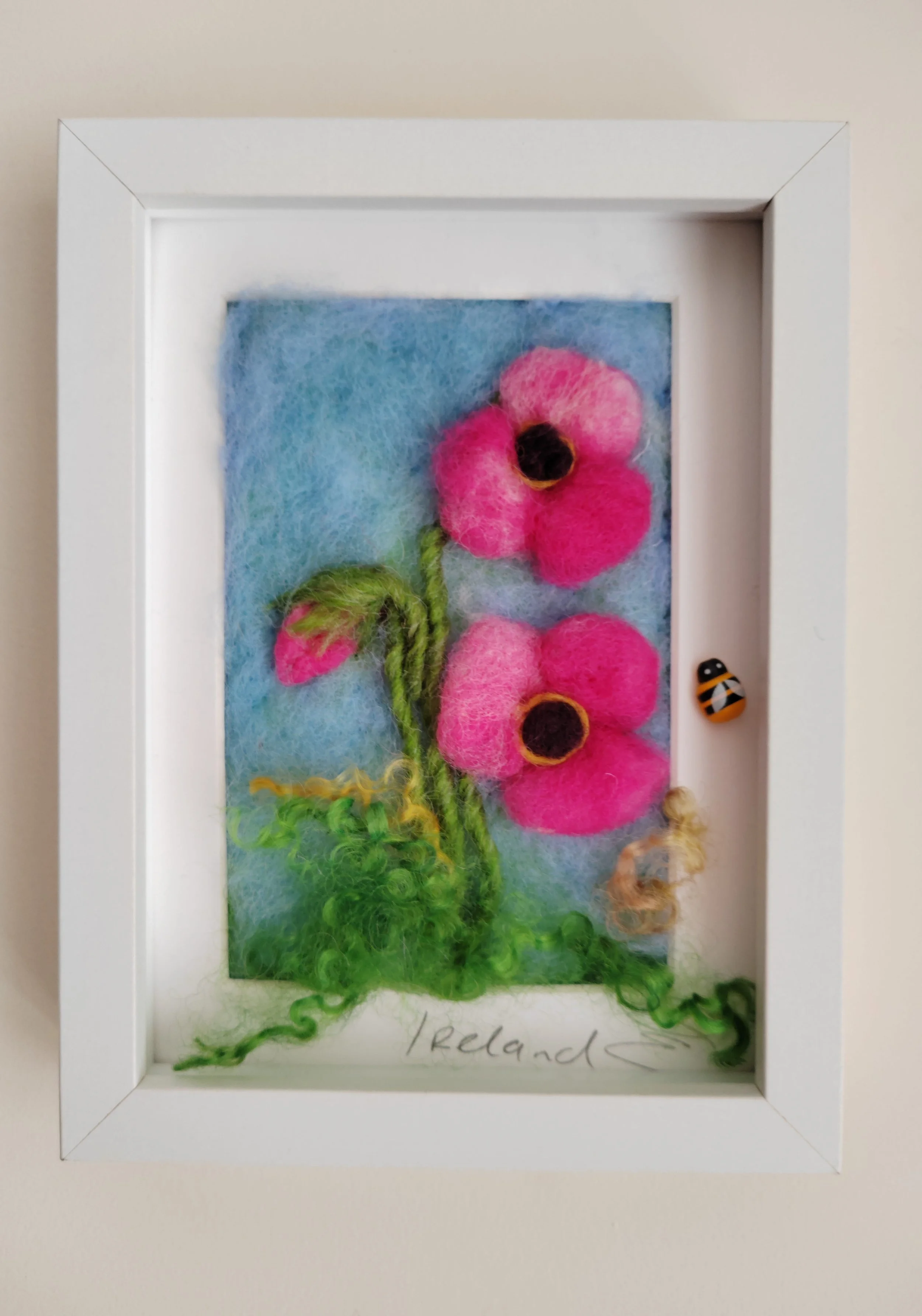 pink poppies in meadow-2.jpg