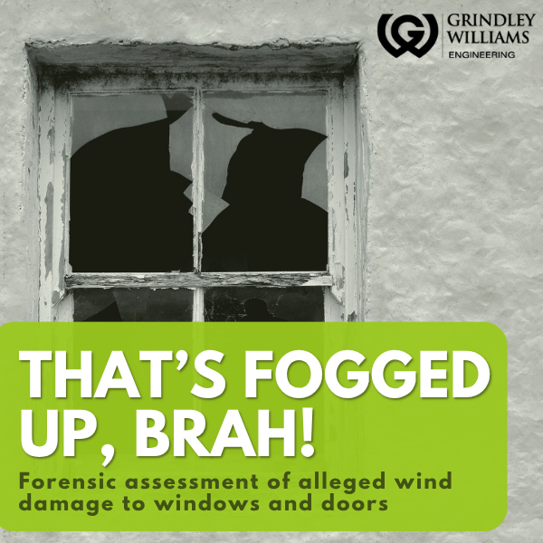 Silhouette of two dogs looking out of a fogged-up window, with the text "That’s fogged up, brah!" and a subtitle about forensic assessment of wind damage to windows and doors. Company logo and name "Grindley Williams Engineering" in the top right cor