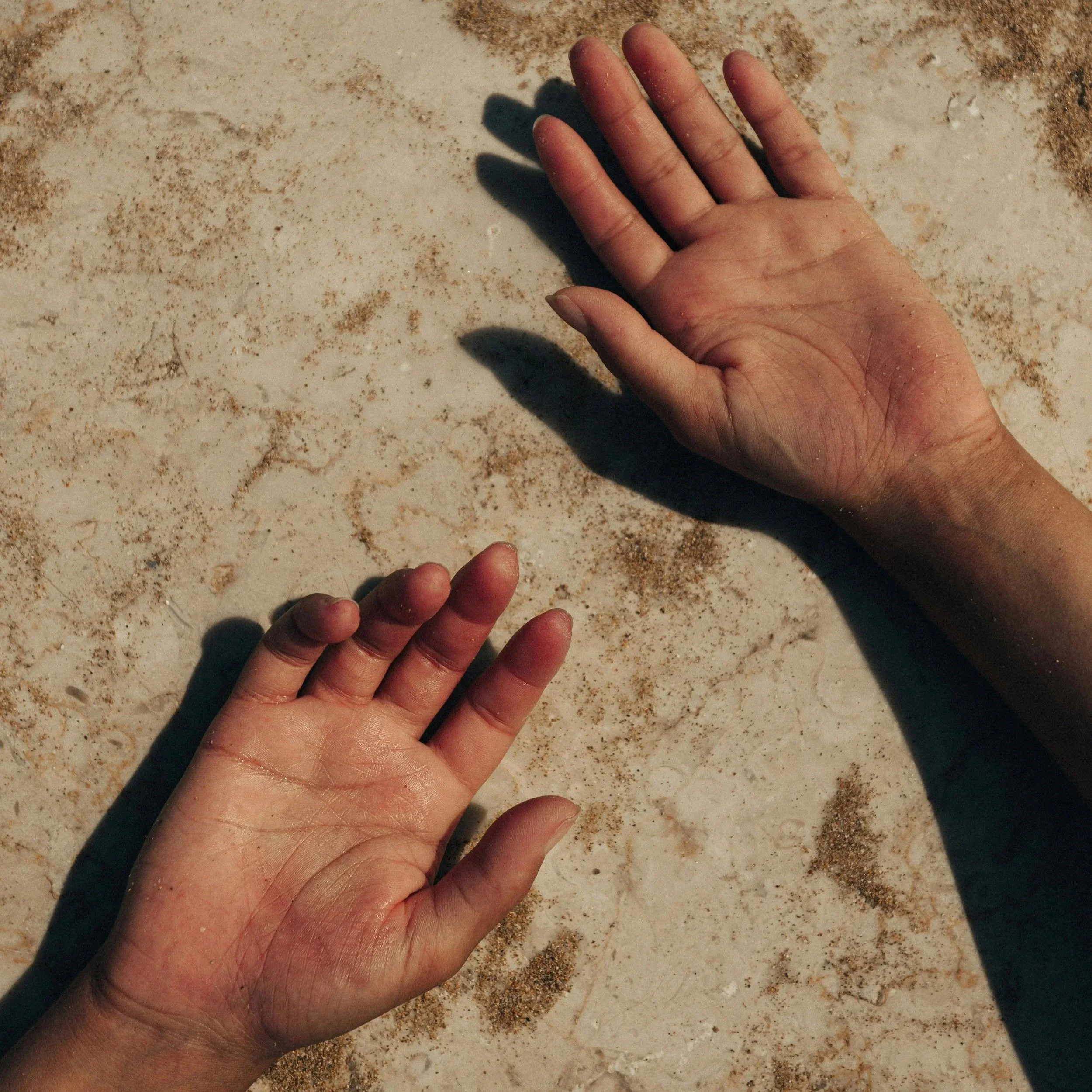 All About Sea Moss and it’s Extraordinary Use For Skin