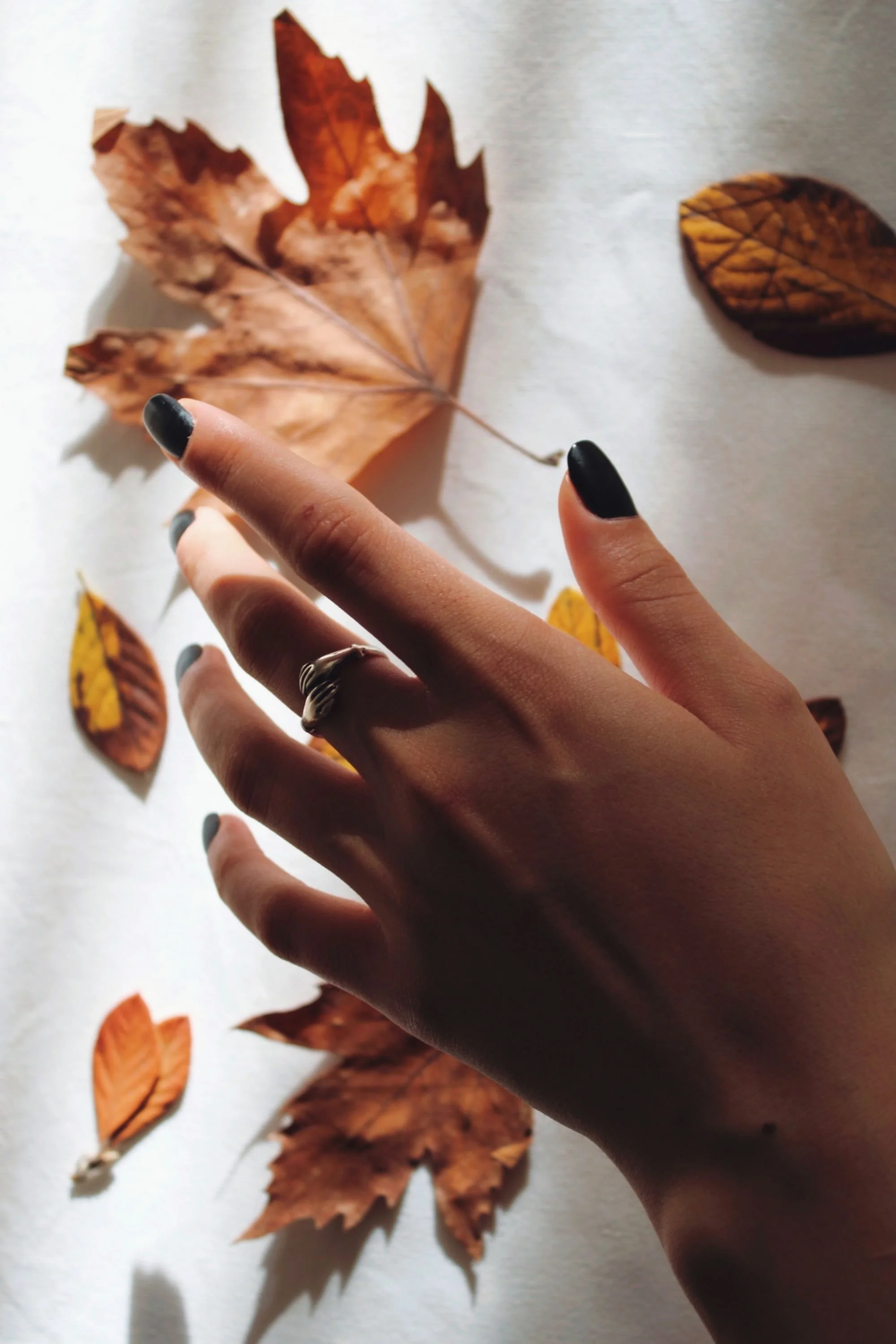 How to transition your skincare routine for autumn: a natural skincare guide (with FAQ)