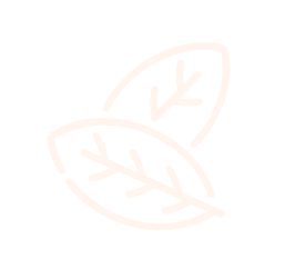 Bay leaf flat icon representing natural derived ingredients in skincare