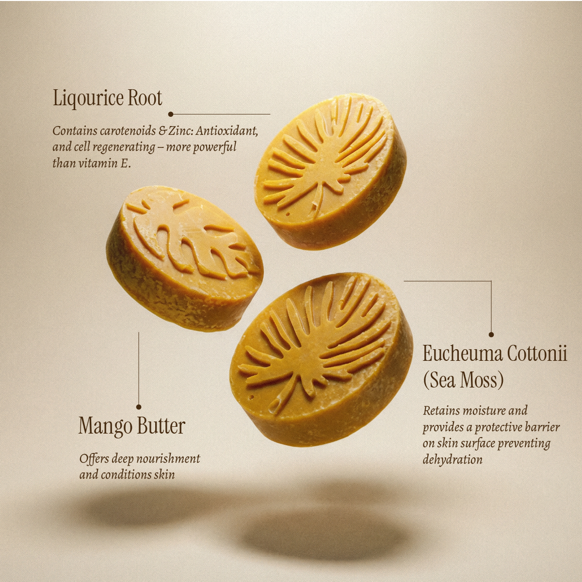 Info Branded Turmeric Revival Bar-04.png