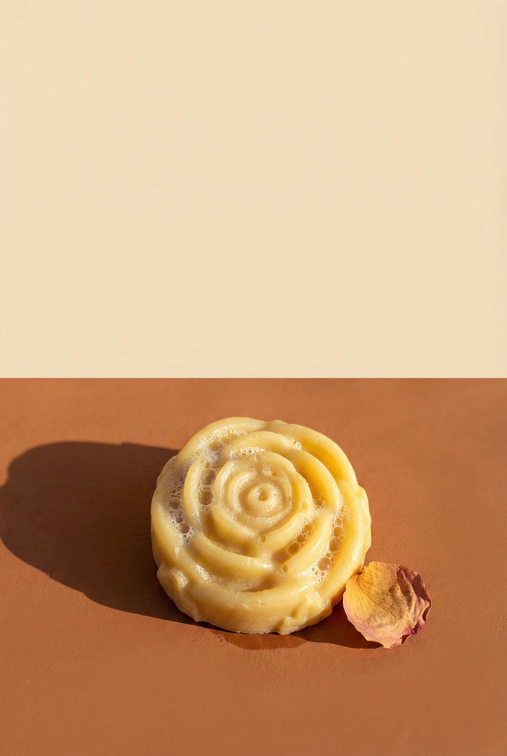 two toned background, clay surface and ivory with cocoa rose on bottom half with single rose petal and light foam