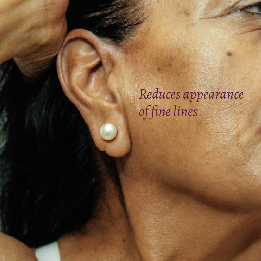 Cocoa Rose improved imagery.Feb 26-03.png