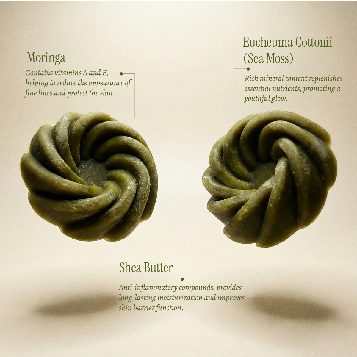 Infographic of ingredients for Moringa, provides Vitamin A and C to support skin health, Eucheuma Cottonii(Sea Moss), support skin renewal, and Shea Butter, softens and smooths skin texture