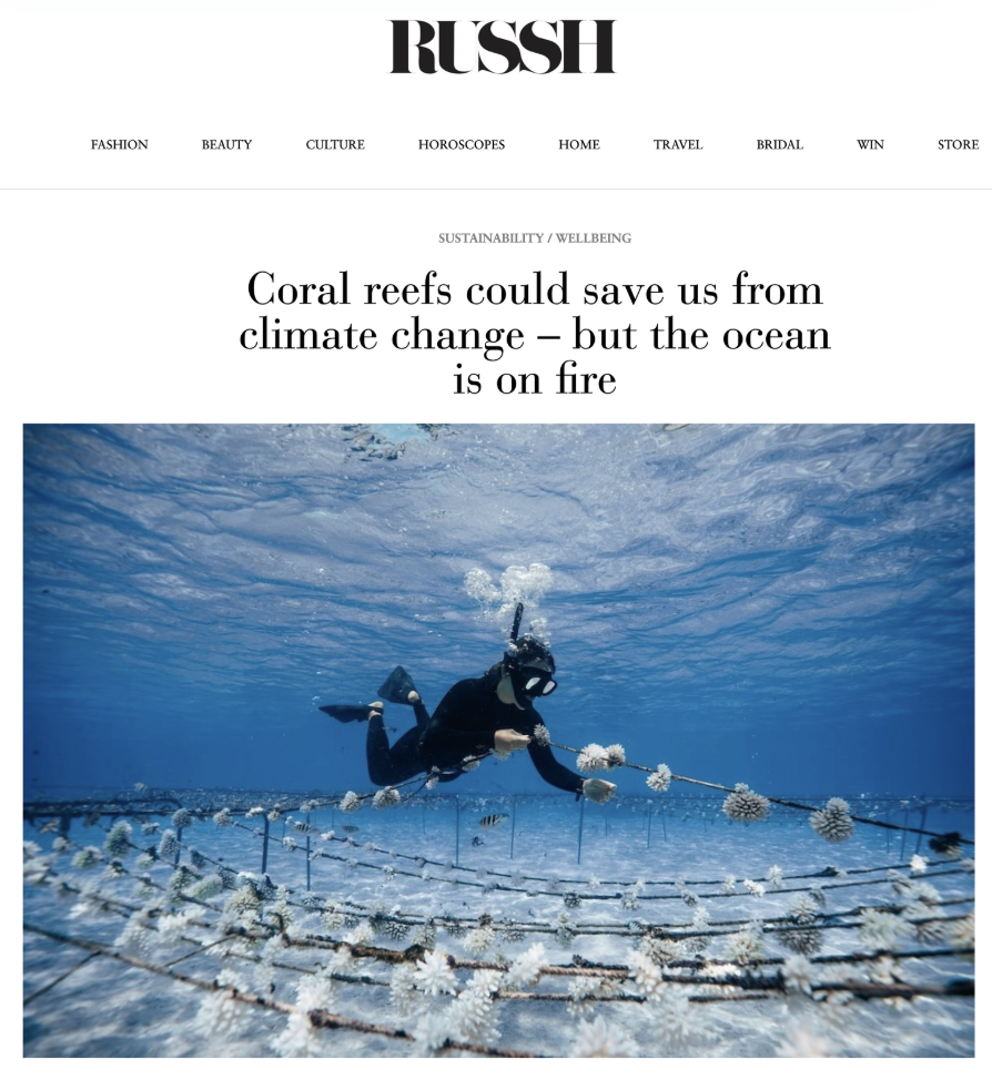 Screenshot 2025-10-01 at 3.24.54 pm.png