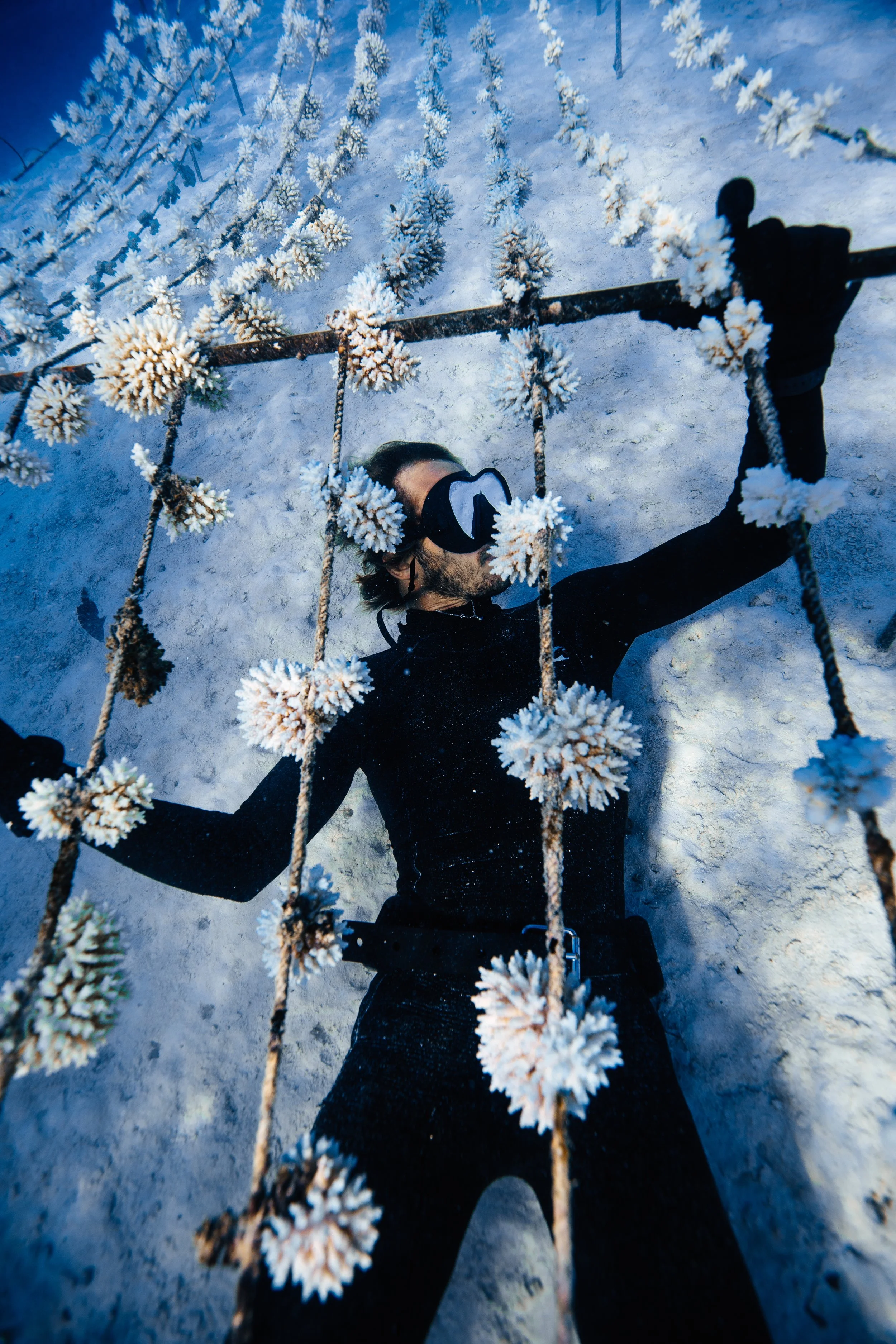 CG_24_03_26_BLEACH_TIAIA_37276_KD (3) (1).jpg