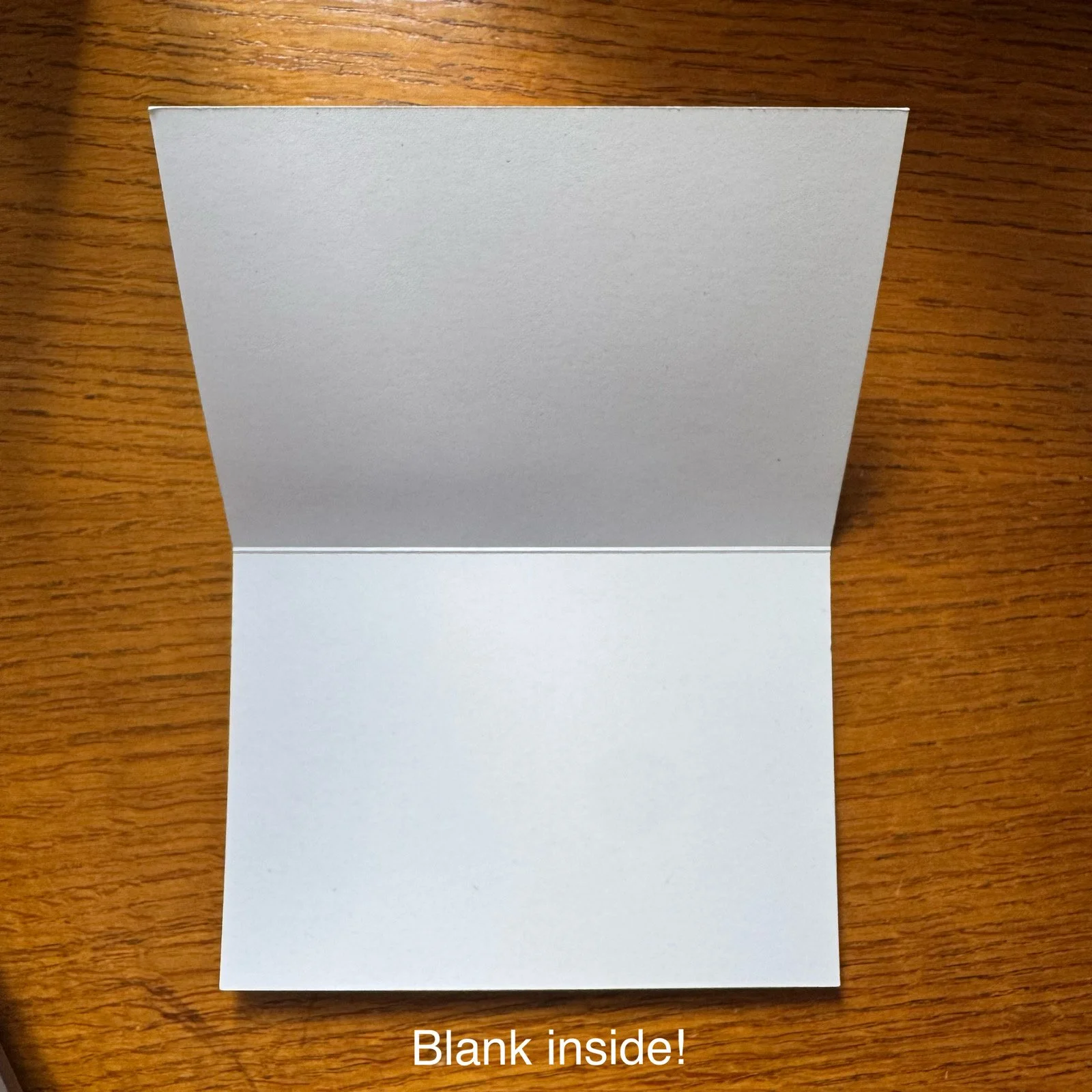 Whitagram-Image 3.JPG