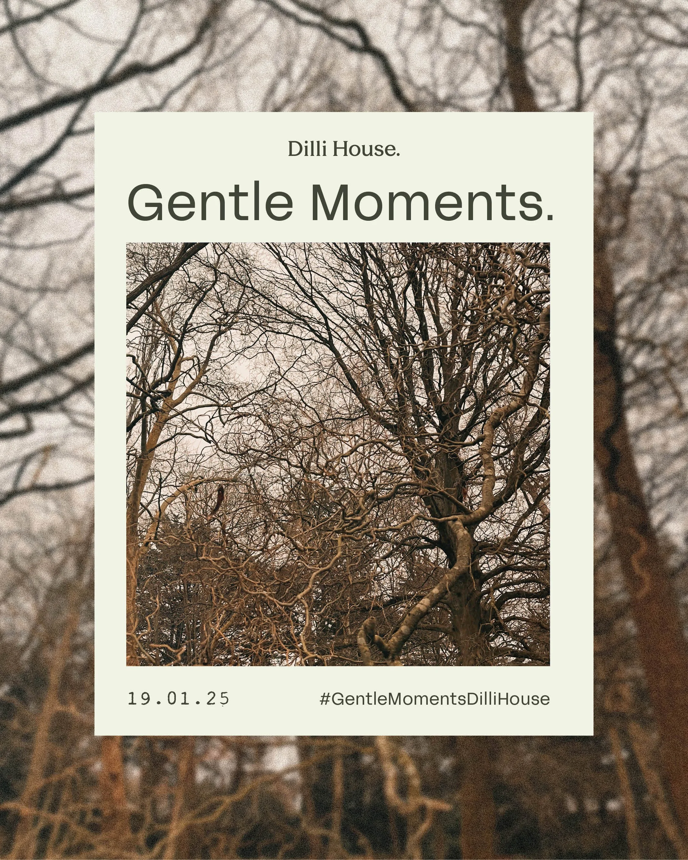 The Sensory Antidote: Reclaiming Life, One Gentle Moment at a Time 
