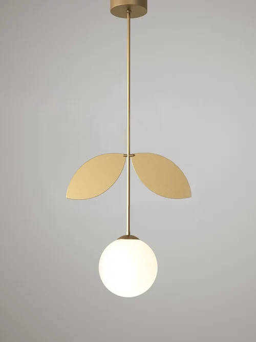 Plant by Atelier Areti
