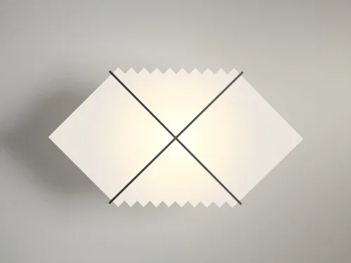 Black Hole Wall / Ceiling Light