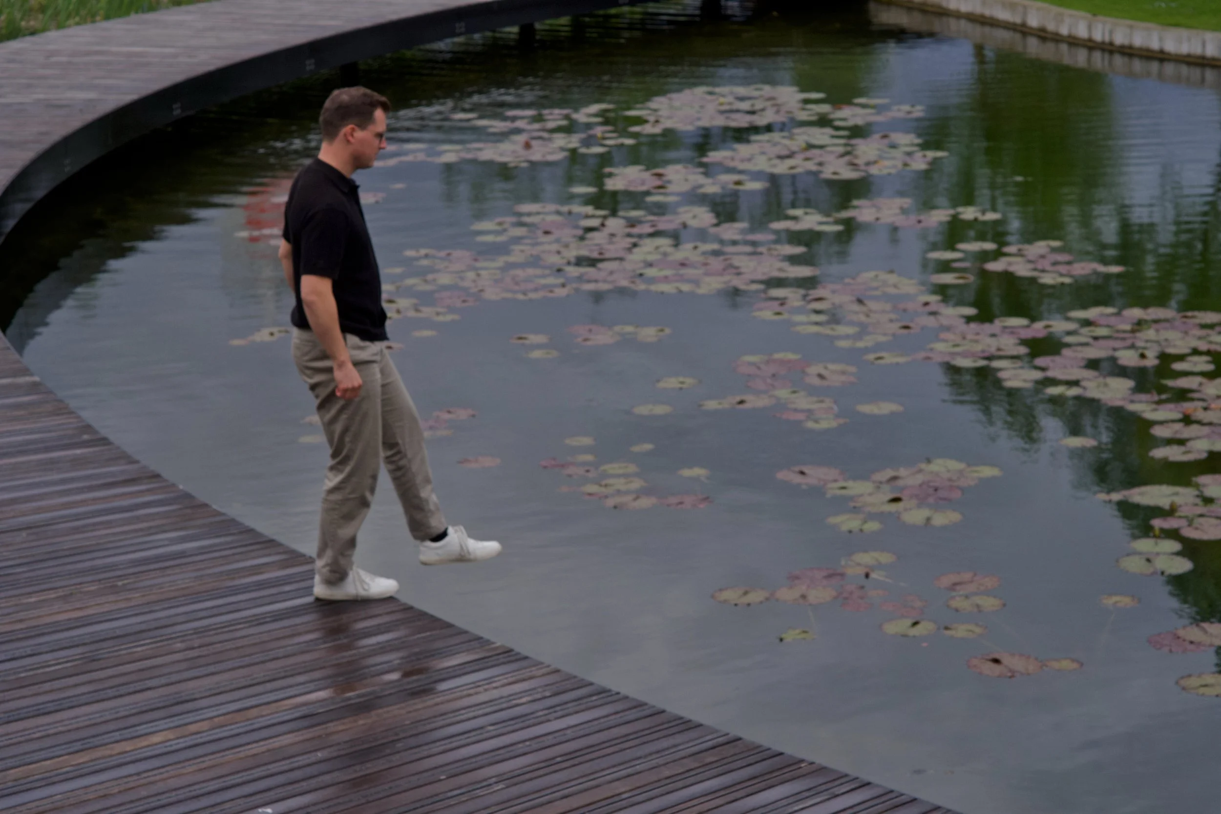 A man walking on a wooden dock near a pond with lily pads.