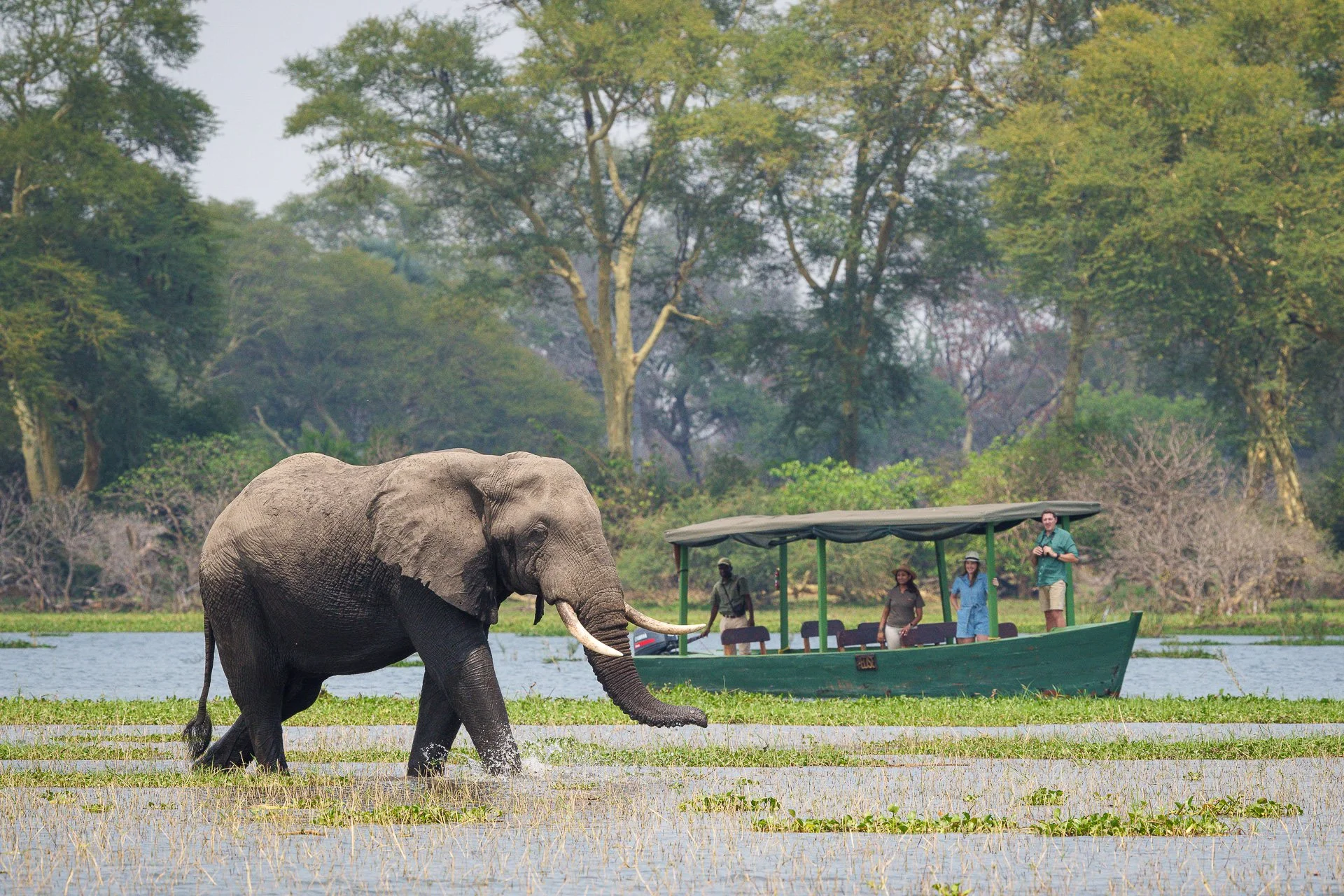 RPS Kuthengo-217e.JPG